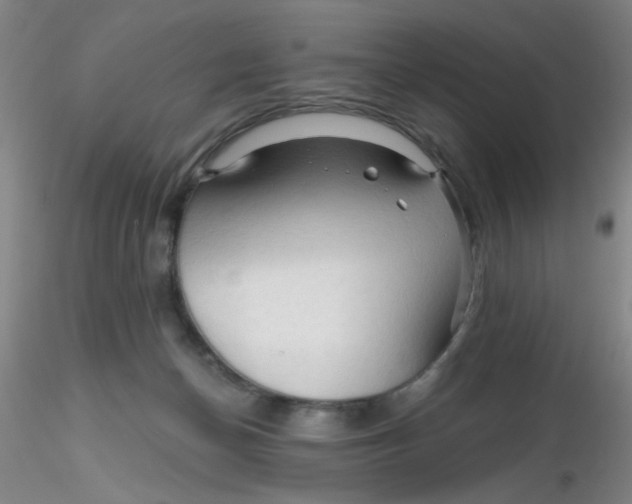 X0000116300174200912211909