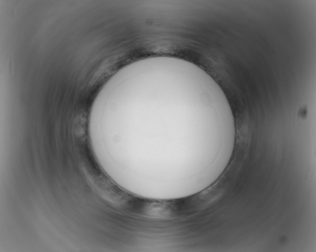 X0000116300175200912211909