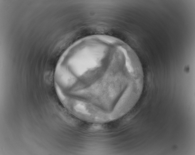 X0000116300177200912211909