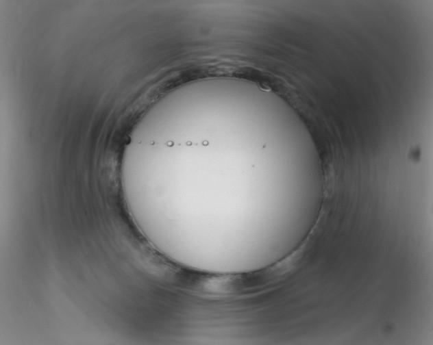 X0000116300178200912211909