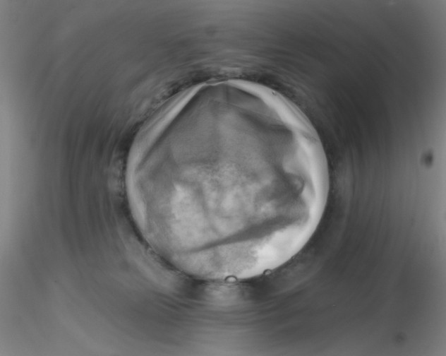 X0000116300181200912211909