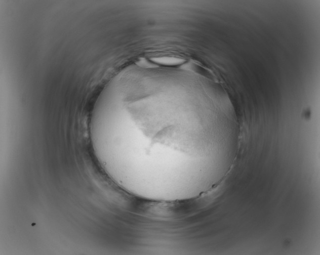 X0000116300182200912211909