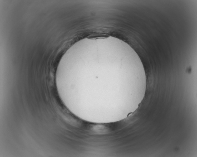 X0000116300183200912211909