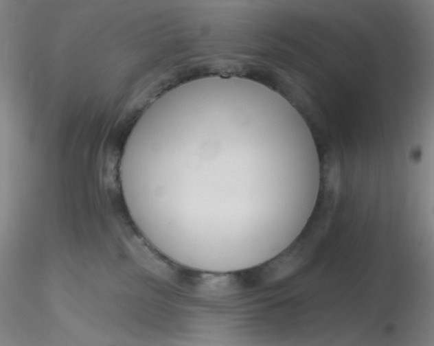 X0000116300185200912211909