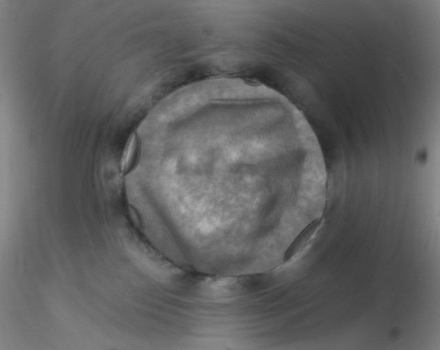 X0000116300186200912211909