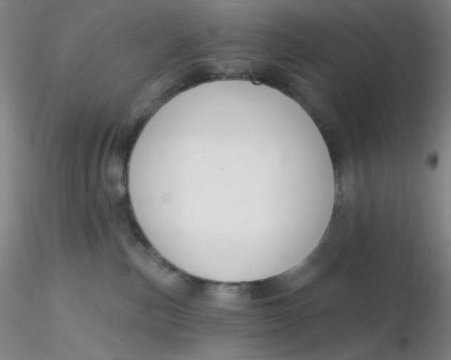 X0000116300187200912211909