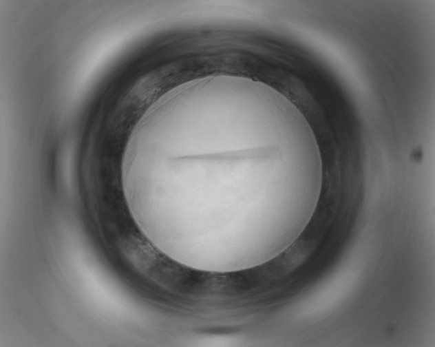 X0000116300189200912211909