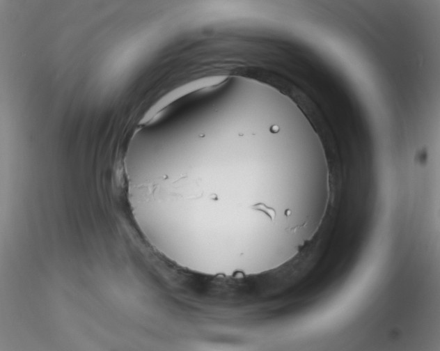 X0000116300190200912211909