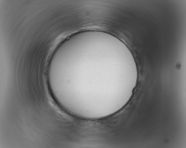 X0000116300193200912211908