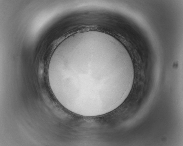 X0000116300194200912211908