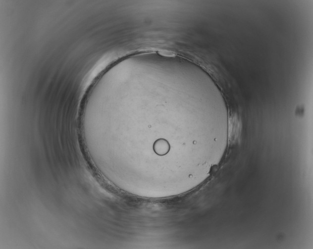 X0000116300195200912211908