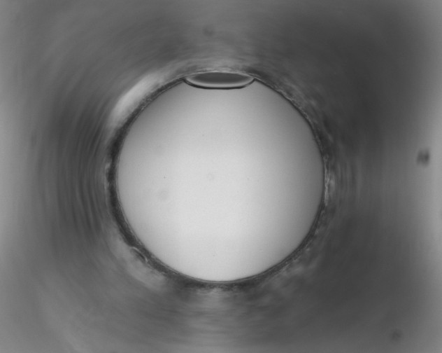 X0000116300197200912211908