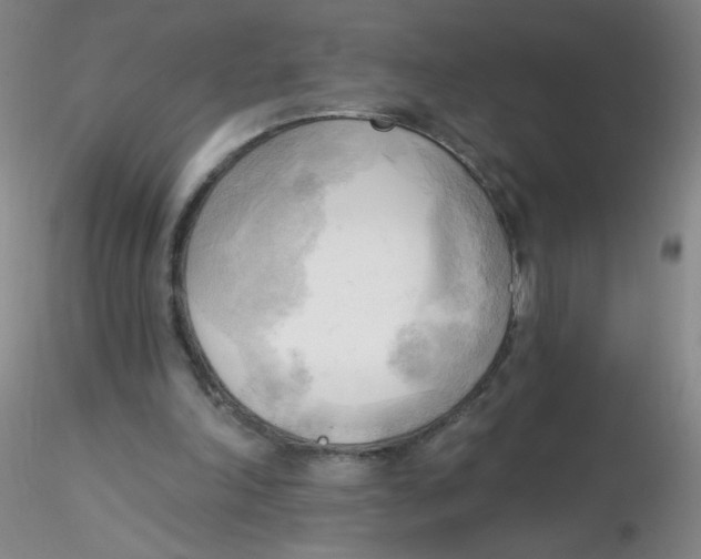 X0000116300198200912211908