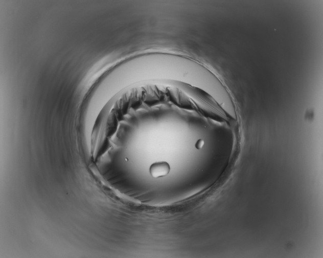 X0000116300199200912211908