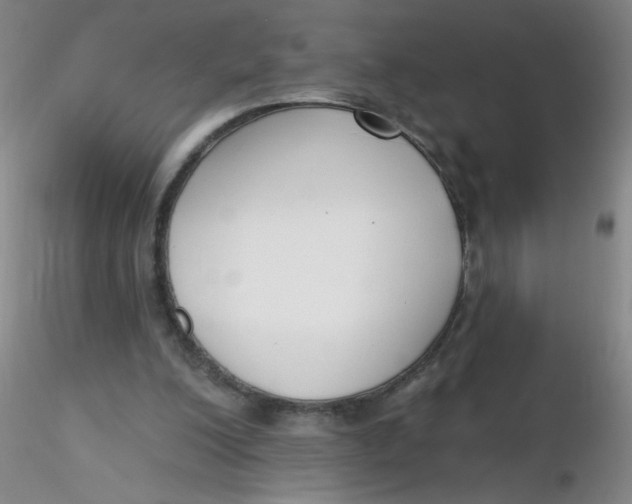 X0000116300200200912211908