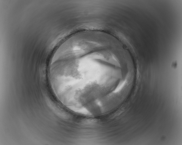 X0000116300202200912211908