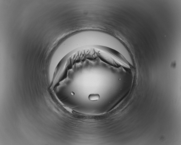 X0000116300203200912211908