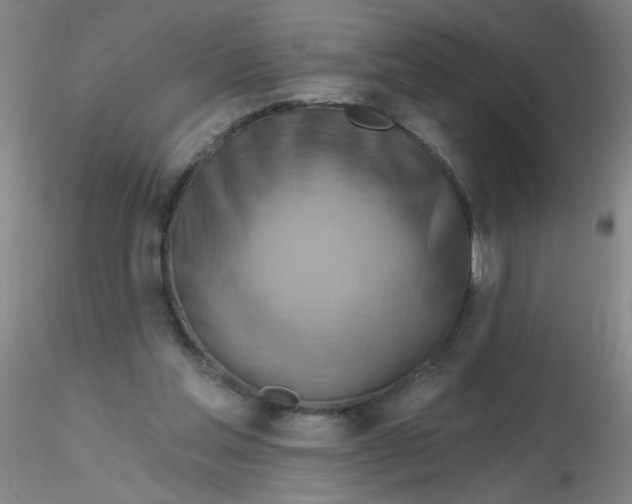 X0000116300205200912211908