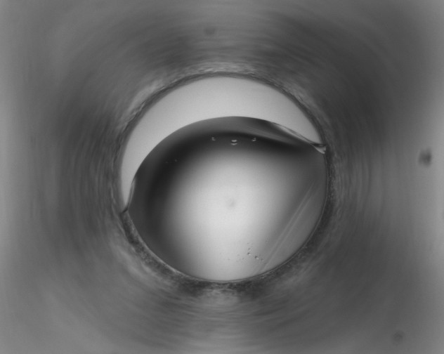 X0000116300207200912211908