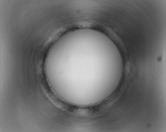 X0000116300209200912211908