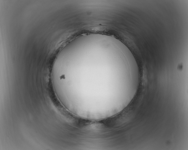 X0000116300210200912211908