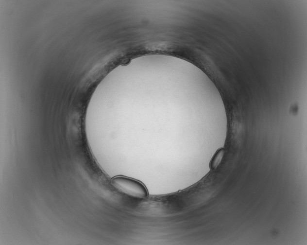 X0000116300211200912211908