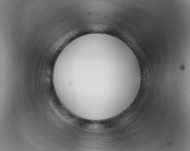 X0000116300212200912211908