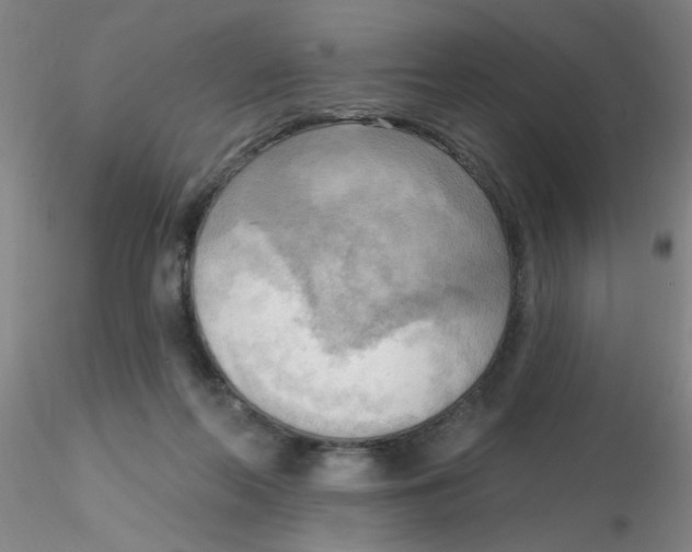 X0000116300214200912211908