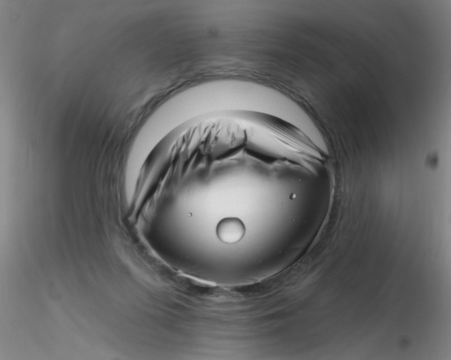 X0000116300215200912211908