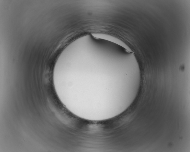 X0000116300216200912211908