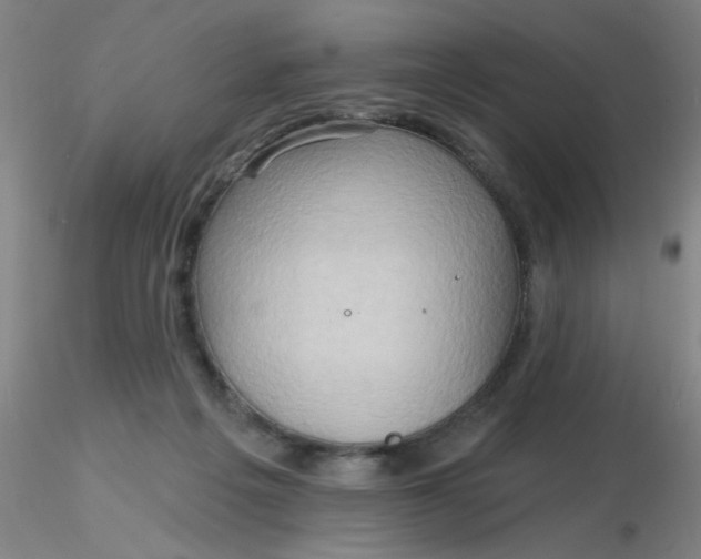 X0000116300217200912211908