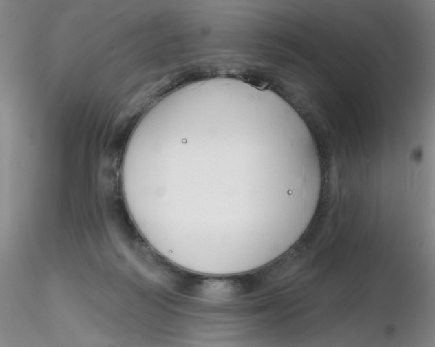 X0000116300218200912211908