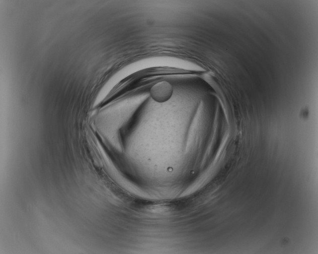 X0000116300219200912211908