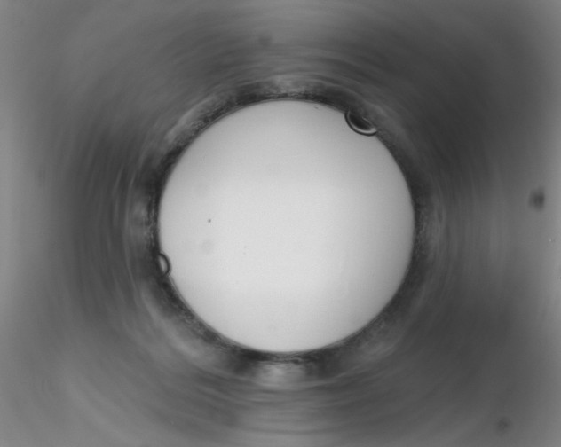 X0000116300220200912211908