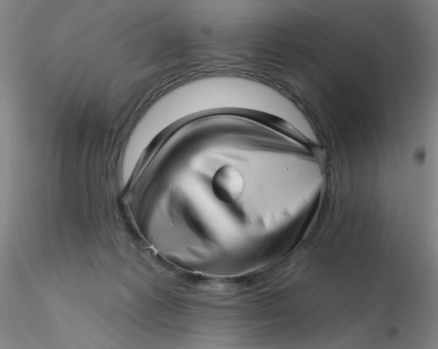 X0000116300221200912211908