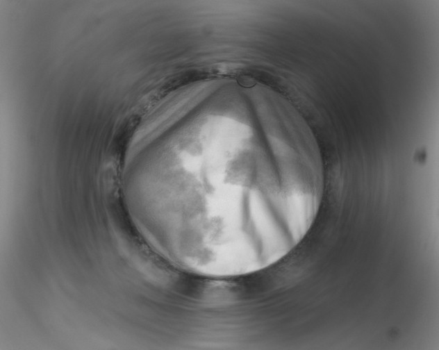 X0000116300222200912211908