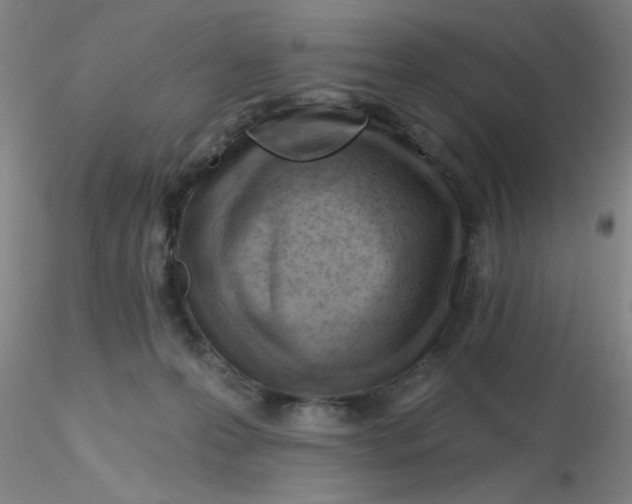 X0000116300223200912211908