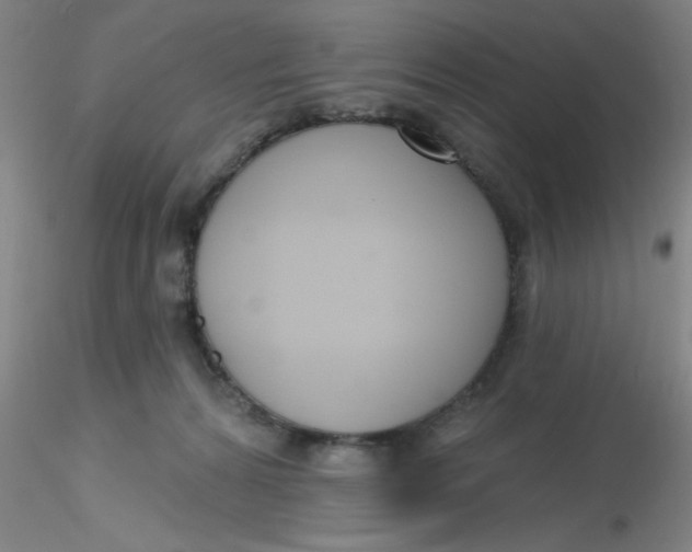 X0000116300224200912211908