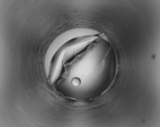 X0000116300225200912211908