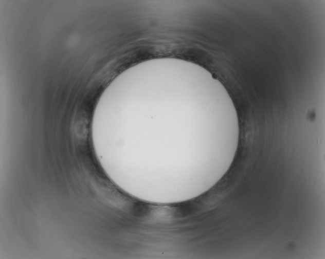 X0000116300226200912211908