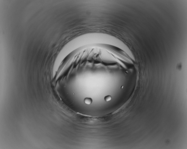 X0000116300229200912211908