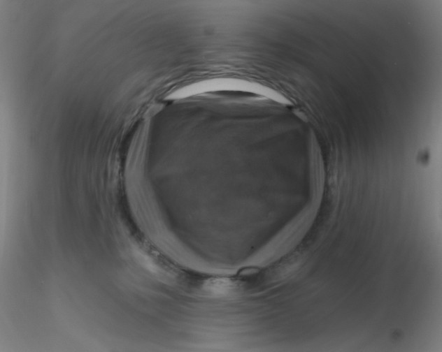 X0000116300231200912211908