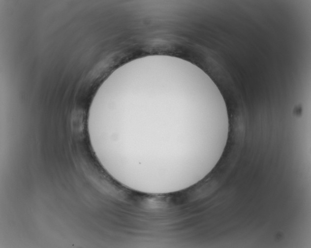 X0000116300232200912211908