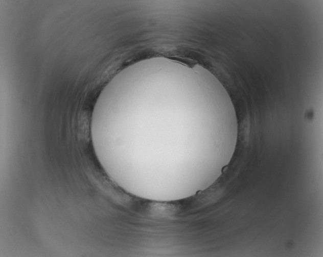 X0000116300234200912211908