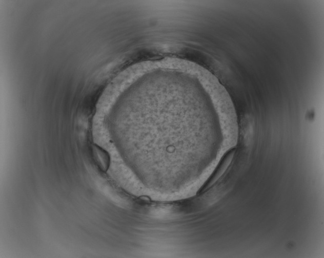 X0000116300235200912211908