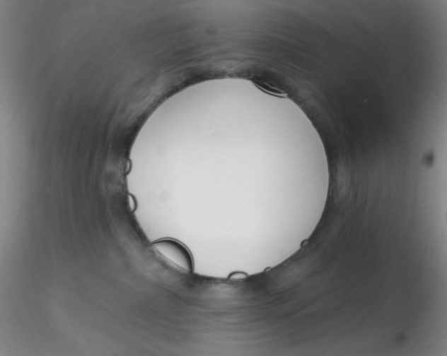 X0000116300236200912211908