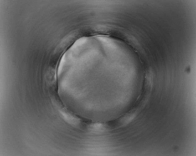 X0000116300237200912211908