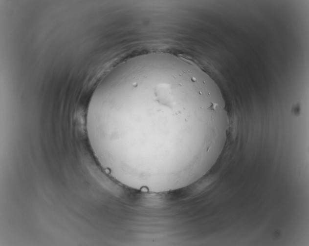 X0000116300238200912211908