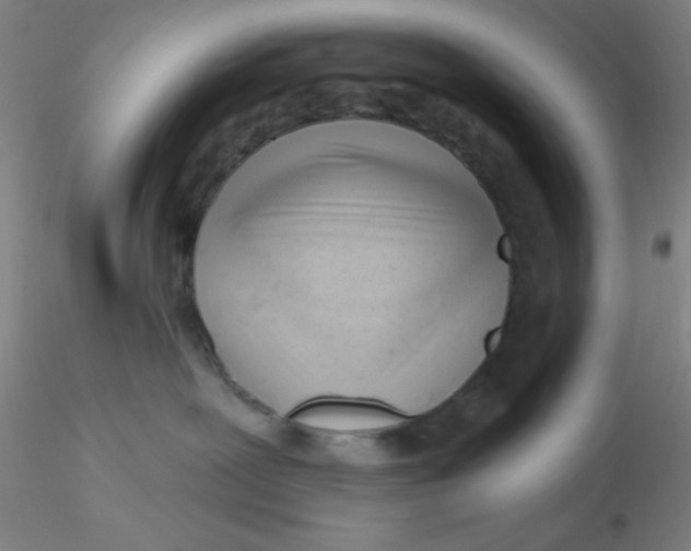 X0000116300239200912211908