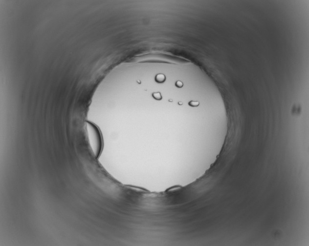 X0000116300240200912211908